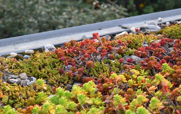 the cost of North Cove green roof installation