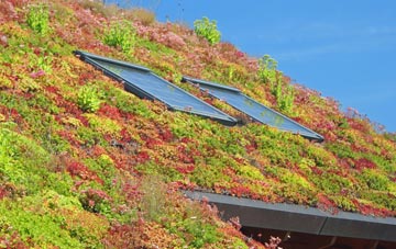 North Cove living roof systems